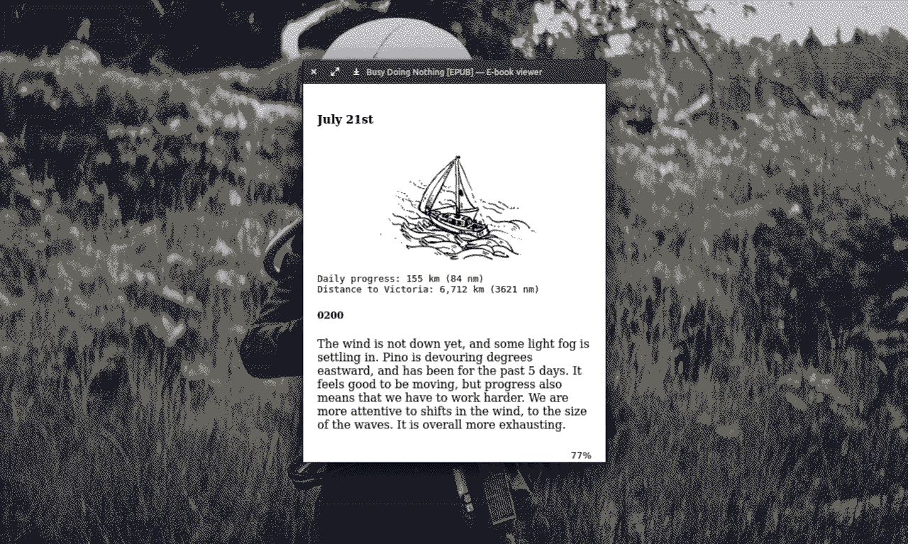 A screenshot of the desktop epub version of Busy Doing Nothing