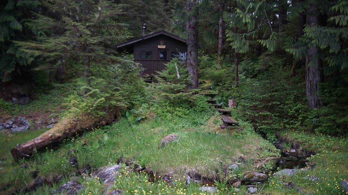 the frosty bay cabin nestled between thick greenery