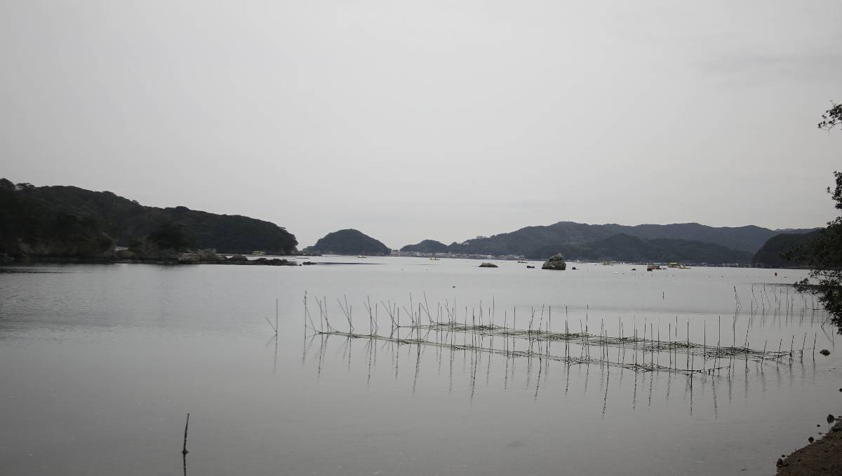 some nets used to grow aosa seaweed in protected waters