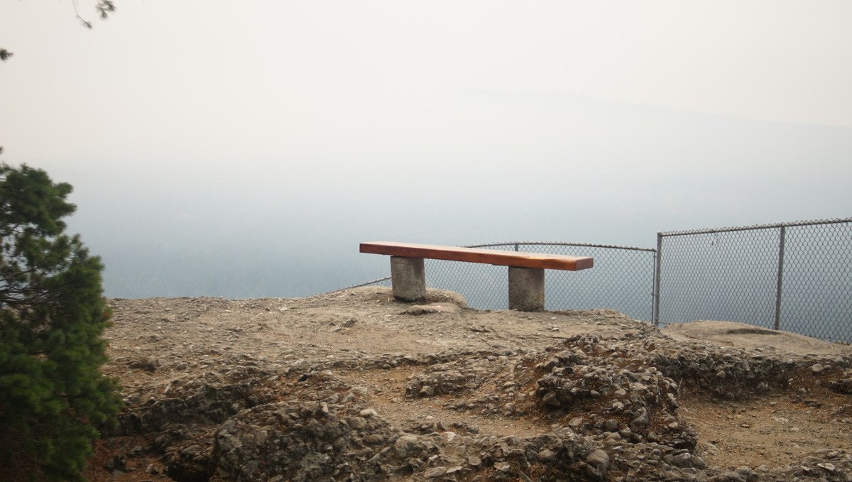 a great blue heron in ladysmith