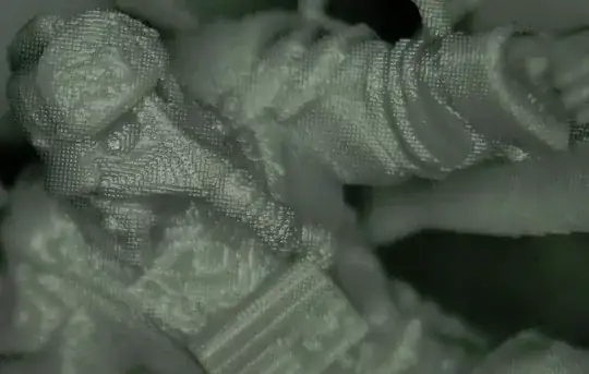 0.100 mm resolution image