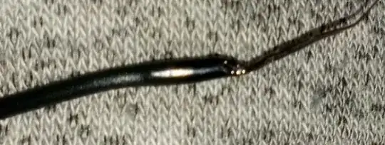 Photo of filament with significantly different sized diameter Photo of filament with significantly different sized diameter