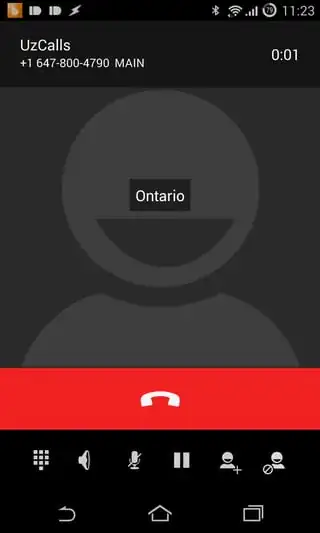 The Actual Call Screen after the Spinning Wheel