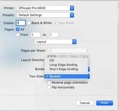 Print dialog box