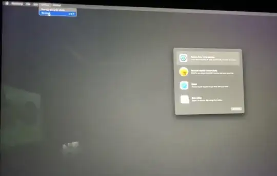 opening the terminal