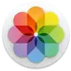 Apple macOS Photos.app icon