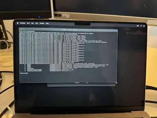 Screenshot of the terminal in the recovery page