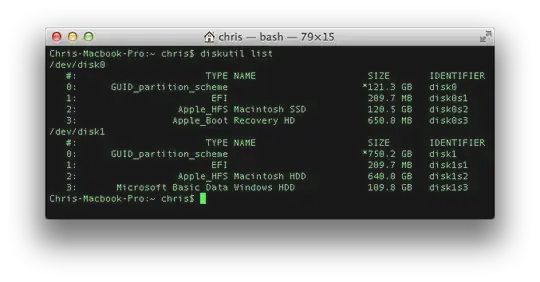 Terminal displaying disk partitions