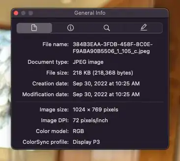 image after copy/pasted and sent in Messages