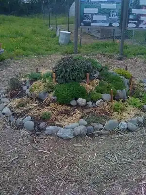 AEF spiral herb gardenRestored the existing herb spiral