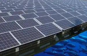 Aquavoltaics: Synergies for dual use of water area for solar photovoltaic electricity generation and aquaculture