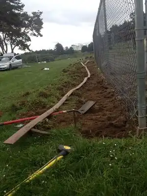 Figure-23: Blueberry bed after tearing up soil with pick ax.