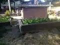 Fig 1b: Humboldt State CCAT Raised Bed #1 Alternative Angle