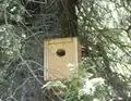 Chickadee Cottage