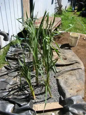 Millcreek greywaterA residential greywater processor