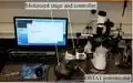 A Low-Cost and High-Precision Scanning Electrochemical Microscope Built with Open Source Tools