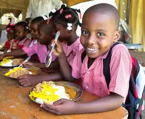 How Easy is it to Feed Everyone? Economic Alternatives to Eliminate Human Nutrition Deficits