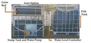 Aquaponic systemUpcycled IBC aquponics system
