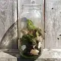 The first food scraps get added to the first jar.