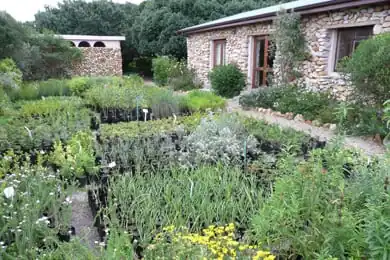 The Grootbos Private Nature Reserve.