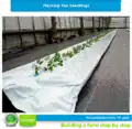 Step 14: Plant seedlings.