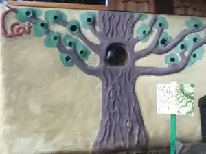 CCAT greenshed cob wallCob wall of CCAT's Greenshed