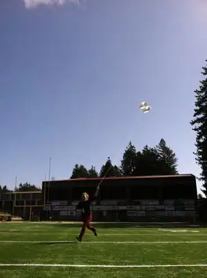 Bag it Up box kiteUpcycled malt bags into box kites.