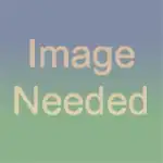 LeapingStone Foundation