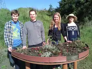 Living Green RoofGreen roof educational model