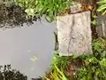 Small piece of metal mesh material in pond