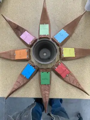 Biological and Agricultural Sciences