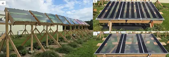 Impacts of Type of Partial Transparency on Strawberry Agrivoltaics: Uniform Illumination Thin Film Cadmium-Telluride and Non-uniform Crystalline Silicon Solar Photovoltaic Modules
