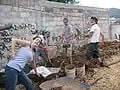 Fig 1g: digging dirt from site in the city