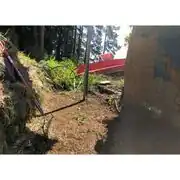 After a lot of pruning and clearing the site was almost ready to be used