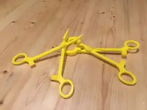 Locking Forceps with Interchangeable Tips