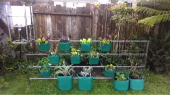 Edible railingEdible railing providing veggies from upcycled containers