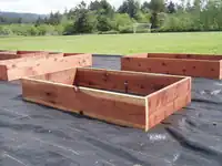 Raised Bed