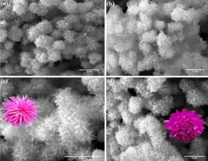 The use of urea as an N-doping 3D hierarchical preserving agent for titanium dioxide nanostructures tailored for dye-sensitized solar cells