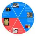 Waste stream educational wheelWaste steam educational wheel.