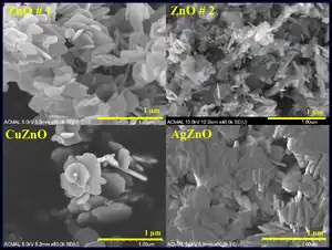 Inhibition of growth of S. epidermidis by hydrothermally synthesized ZnO nanoplates