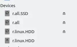 This is how I see my partitions