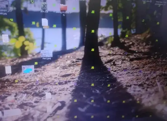 screenshot of the issue