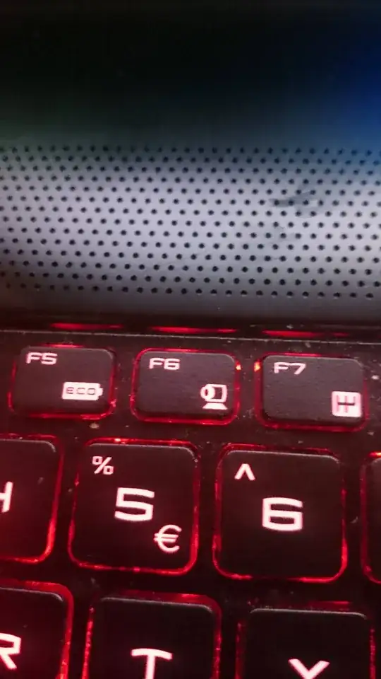 Photo of an MSI WS-60 Keyboard's Web Camera Function Key