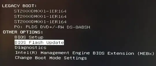Bios Flash Update