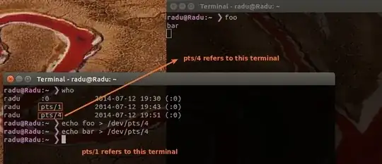 radu's terminal