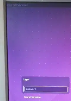 login screen, loop with correct password