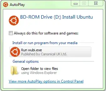 AutoRun Prompt showing 'Run wubi.exe'