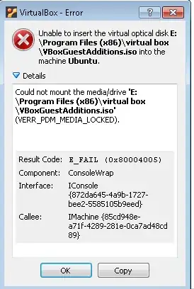 could not mount error