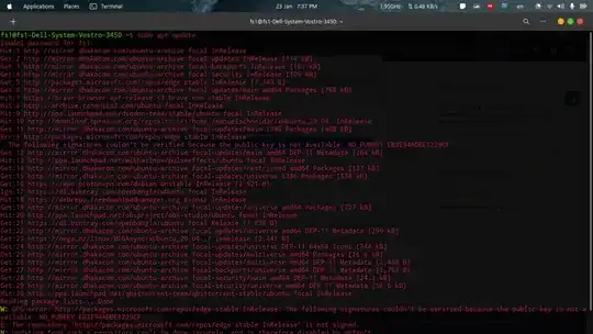 Screenshot of the terminal