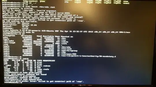 Screenshot of terminal showing output of 'lsblk' and 'df' commands